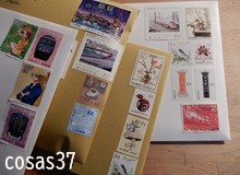 スキは役にたつ