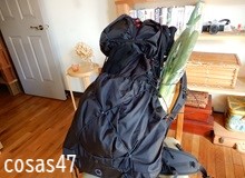 ネギを背負って