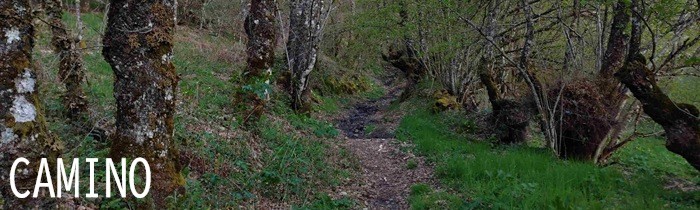 CAMINO