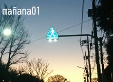 横断歩道と夜明け