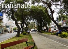 おどろくことばかり