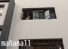 みおろすモフモフ