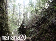 初心が足りない