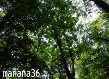 いちばん呼吸した