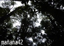 しずかな水場で