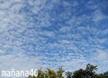 高らかに声をあげる