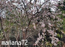 いまさらだけど