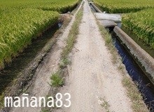 あやしい者ではありません