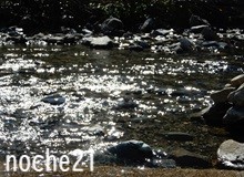 補欠でいいのだ