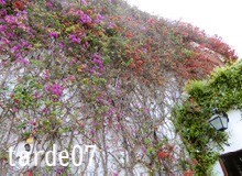 きっと忘れない