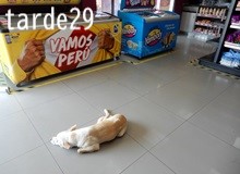 その場に身をおいて