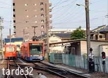 スキのはじまり