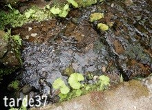 静けさのふもと