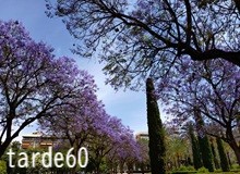 º腕をくんで歩こう