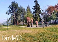 今日も手を見る